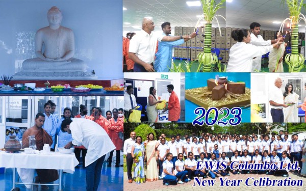 New Year Celebration 2023