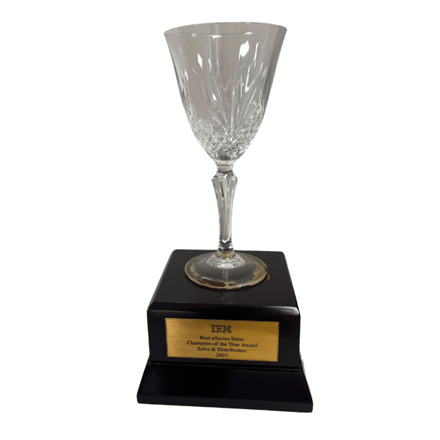IBM BEST SERIES SALES CHAMPION OF THE YEAR AWARD SALES AND DISTRIBUTION 2003