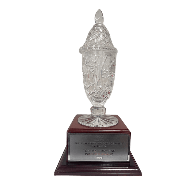 IBM TOP PSG BUSINESS PARTNER AWARD 1998